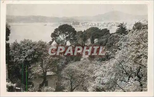 Cartes postales moderne Toulon (Var) Vue Generale prise du Mourillon