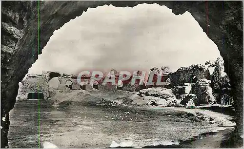 Cartes postales moderne Frejus (Var) Les Arenes