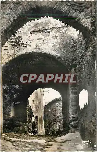 Cartes postales moderne Gassin (Var) Vieille Rue