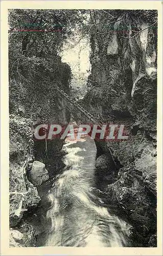 Cartes postales moderne Trans (Var) Les Gorges de la Nartuby
