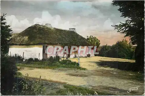 Cartes postales moderne Au Pays de Monts Une Vieille Bourine