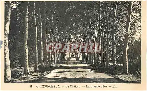 Cartes postales Chenonceaux Le Chateau La Grande Allee