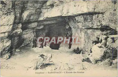 Ansichtskarte AK Dauphine Sassenage L'Entree dse Grottes