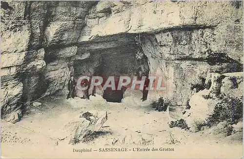 Cartes postales Dauphine Sassenage L'Entree dse Grottes