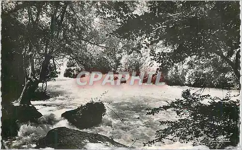 Cartes postales moderne Vaucluse (Vaucluse) Fontaine de Vaucluse Sous Bois sur le Torrent