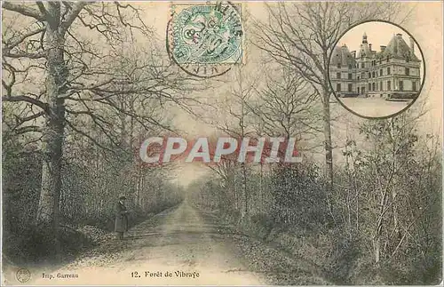 Cartes postales Foret de Vibraye