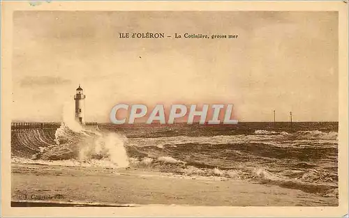 Cartes postales Ile d'Oleron La Cotiniere Grosse Mer