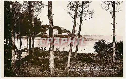 Cartes postales moderne Perros Guirec La Plage de Trestraou a Travers les Pins