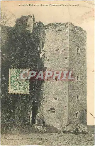 Ansichtskarte AK Vue de la Ruine du Chateau d'Estadens (Haute Garonne) Ane Donkey