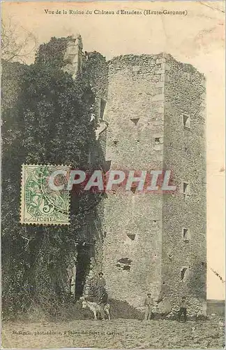 Cartes postales Vue de la Ruine du Chateau d'Estadens (Haute Garonne) Ane Donkey