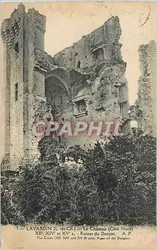 Cartes postales Lavardin (L et Ch) Le Chateau (Cote Nord) XII XIV et XV Ruines du Donjon
