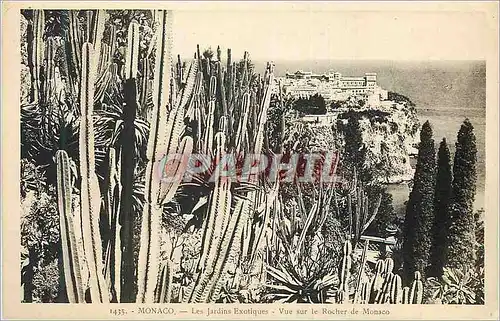 Cartes postales Monaco Les Jardins Exotique Vue sur le Rocher de Monaco