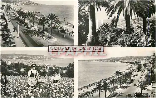 Cartes postales moderne La Cote d'Azur Souvenir de Nice