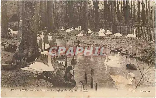 Ansichtskarte AK Lyon Au Parc Le Refuge des Cygnes