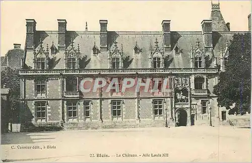 Cartes postales Blois Le Chateau Alle Louis XII