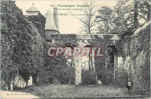 Ansichtskarte AK La Champagne Illustree les environs d'Epernay Montmort Les Fosses du Chateau