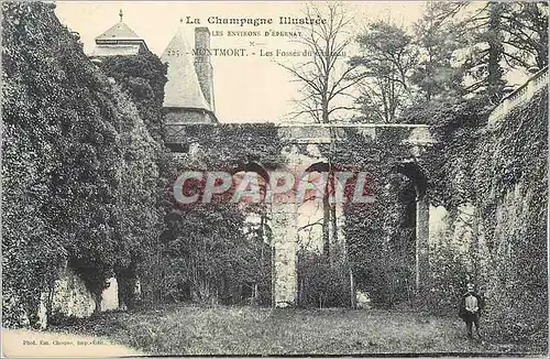 Cartes postales La Champagne Illustree les environs d'Epernay Montmort Les Fosses du Chateau