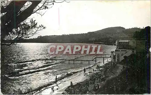 Cartes postales moderne Sanary Soleil couchant sur la plage Doree