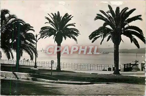 Cartes postales moderne Saint Raphael (Var) L'Escadre vue du Bd Felix Martin Bateau