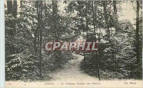 Cartes postales Epinal Le Chateau Sentier des Ruines