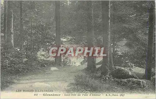 Ansichtskarte AK Les Vosges Illustrees Gerardmer Sous bois au Pont d'Amour