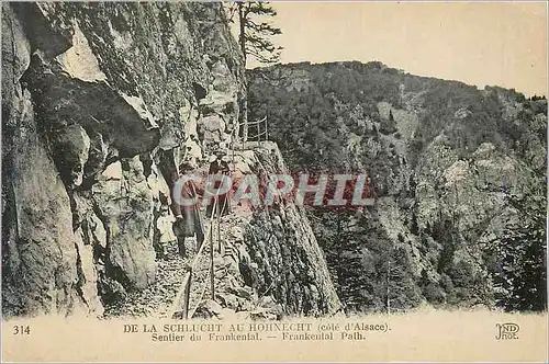 Cartes postales De la Schluchht au Hohnecht (Cote d'Alsace) Sentier du Frankental