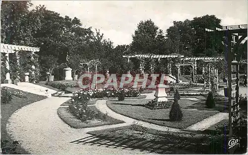 Cartes postales moderne Clermont Ferrand Jardin des Plantes La Roserate