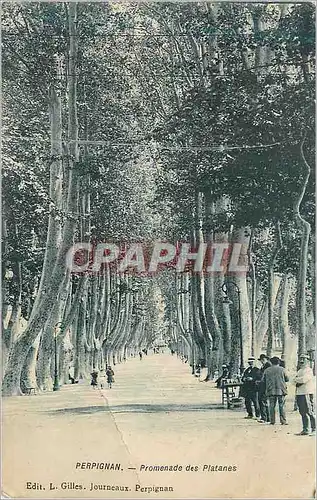 Cartes postales Perpignan Promenade des Platanes