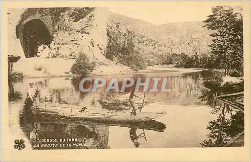 Cartes postales Gorges du Tarn La Grotte de la Momie