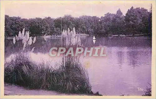 Cartes postales Bordeaux Le Lac du Parc Bordelais