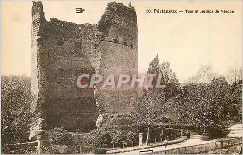 Cartes postales Perigueux Tour et Jardins de Vesone