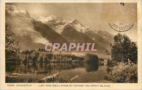 Ansichtskarte AK Chamonix Lac des Gaillards et Massif du Mont Blanc