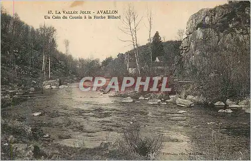 Ansichtskarte AK La Vallee Jolie Avallon Un Coin du Cousin a la Roche Billard