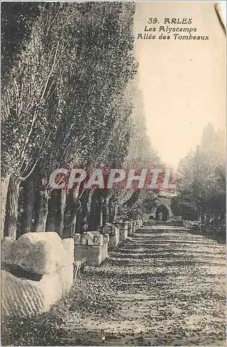 Ansichtskarte AK Arles Les Alyscamps Allee des Tombeaux