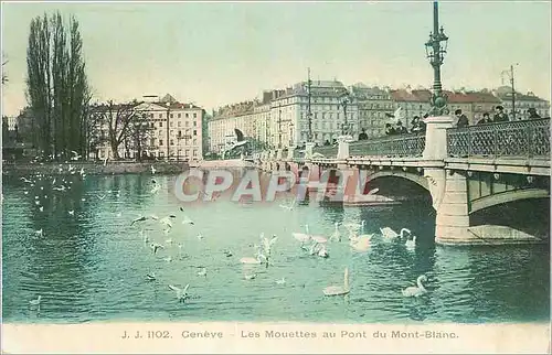 Cartes postales Geneve Les Mouettes au Pont du Mont Blanc