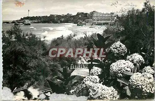 Cartes postales moderne Biarritz Les hortensias et vue sur la phare
