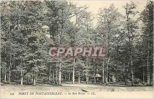 Ansichtskarte AK Foret de Fontainebleau Le Bois Breau