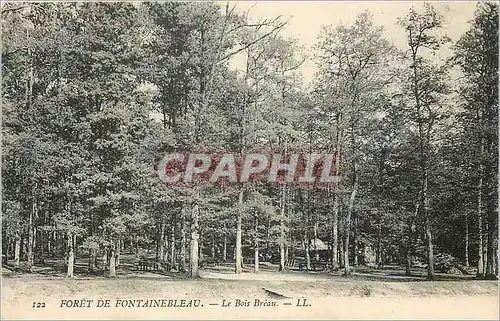 Cartes postales Foret de Fontainebleau Le Bois Breau
