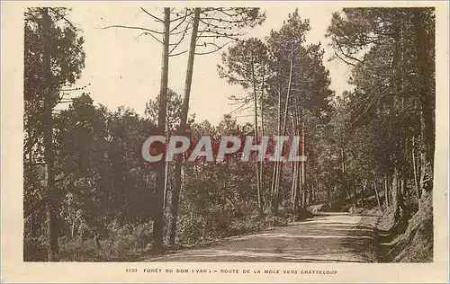 Cartes postales Foret du Dom (Var) Monte de la route vers Chattelours