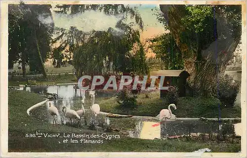 Cartes postales Vichy Le Bassin des Cygnes et les Flamands