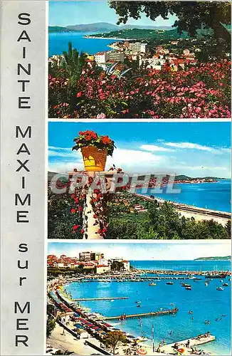 Cartes postales moderne Sainte Maxime sur Mer La Cote d'Azur
