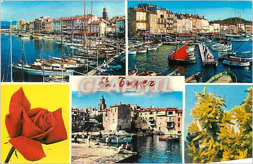 Cartes postales moderne Saint Tropez (Var) Vieux port des pecheurs