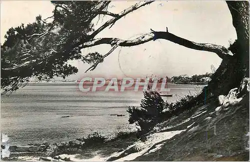 Cartes postales moderne Saint Raphael Vue sur la ville et le golfe de Frejus