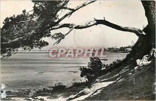 Moderne Karte Saint Raphael Vue sur la ville et le golfe de Frejus