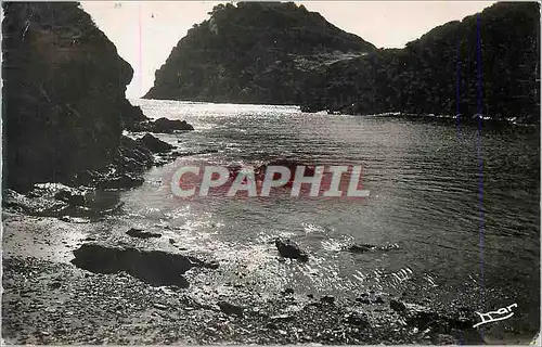 Cartes postales moderne Les Iles d'Or Ile de Porquerolles (Var) Pointe du Berganconnet