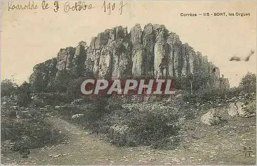 Cartes postales Correze 115 bort les orgues