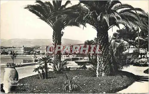 Cartes postales moderne Cannes vue sur les hotels prise du jardin albert 1er
