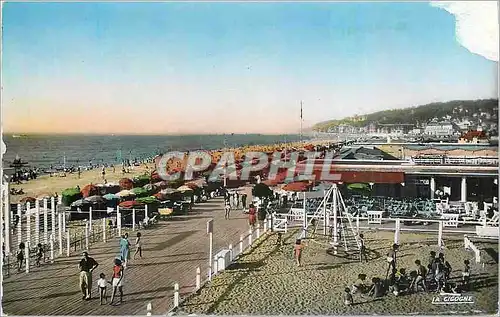 Cartes postales moderne Deauville (calvados) la plage fleurie les planches et vue generale de la plage