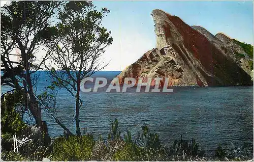 Cartes postales moderne Cote d azur la ciotat le bec d aigle vu l ile verte