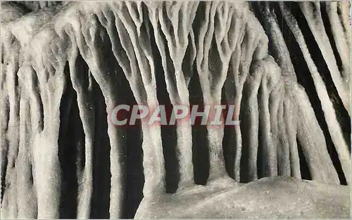 Cartes postales moderne Monaco les grottes de l observatoire dans le jardin exotique jeux d orgues